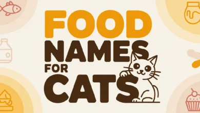 Food Names For Cats With Meanings