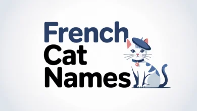 French Cat Names With Meanings