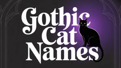 Gothic Cat Names With Meanings