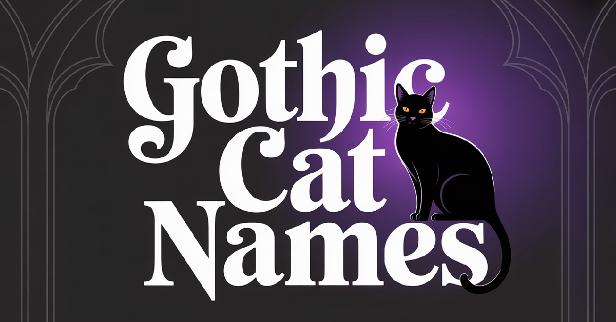 Gothic Cat Names With Meanings