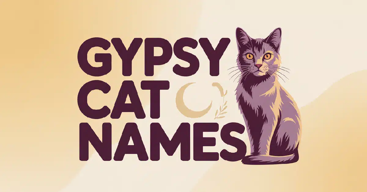 Gypsy Cat Names That We Love With Meanings