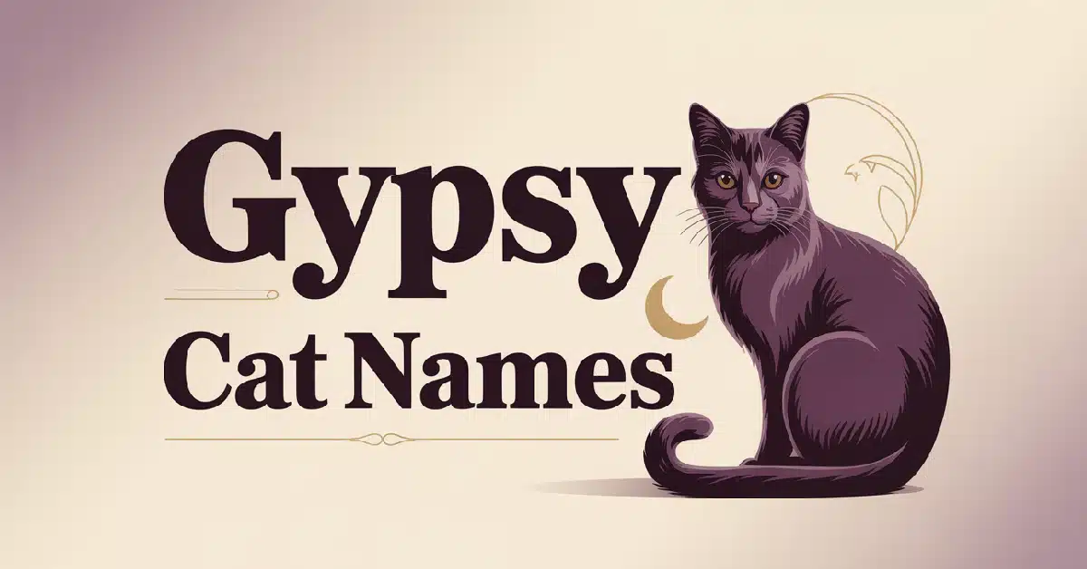 Gypsy Cat Names With Meanings