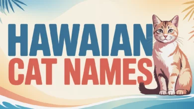Hawaiian Cat Names With Meanings