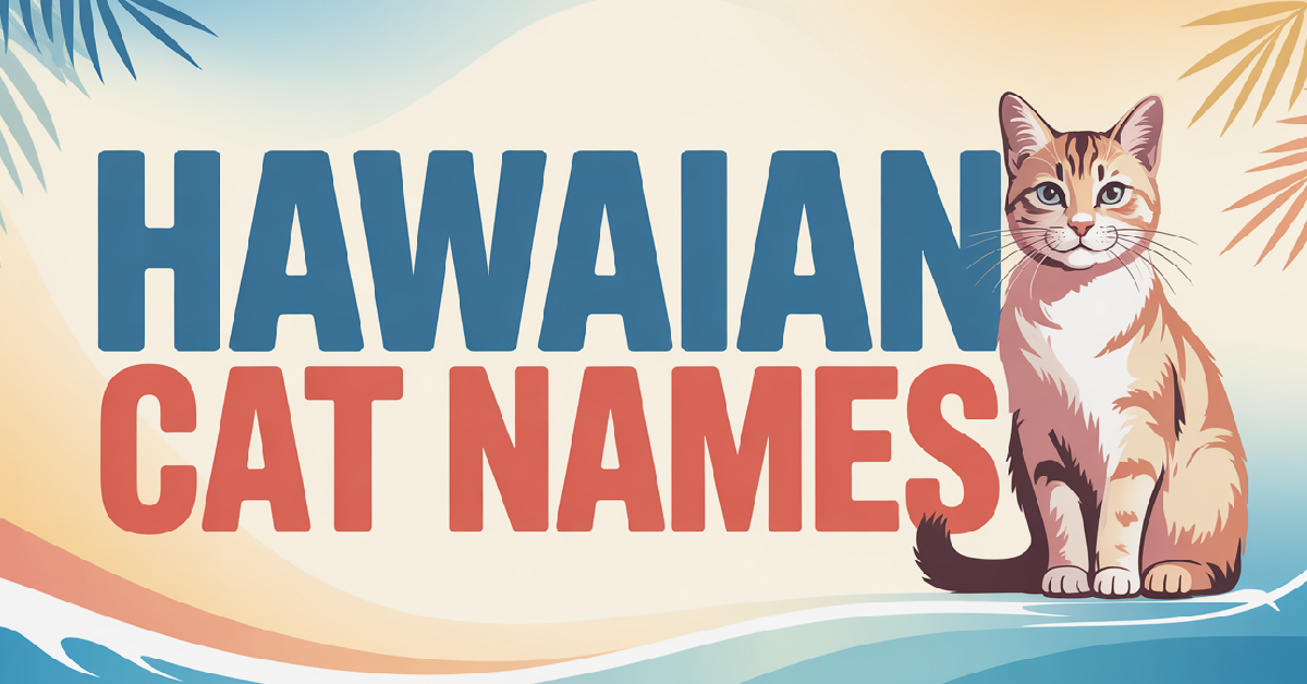 Hawaiian Cat Names With Meanings