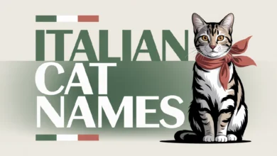 Italian Cat Names With Meanings