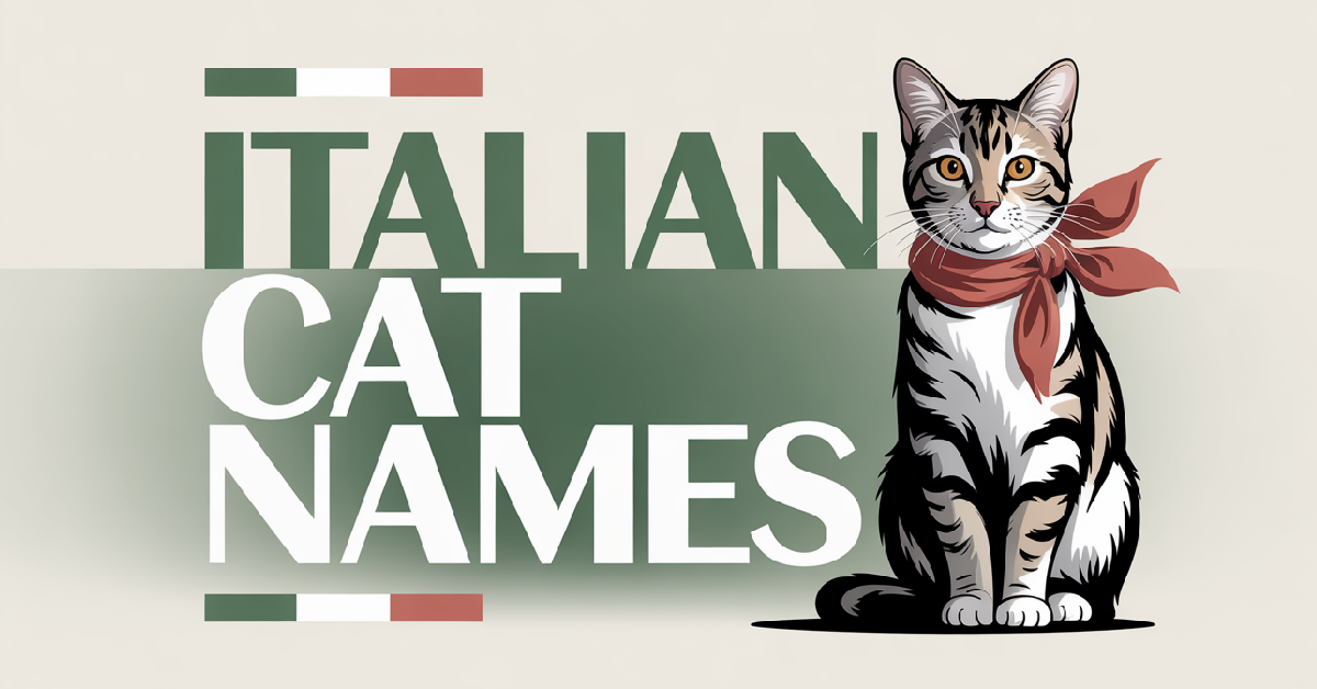 Italian Cat Names With Meanings