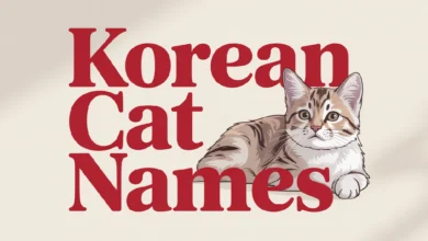 Korean Cat Names With Meanings