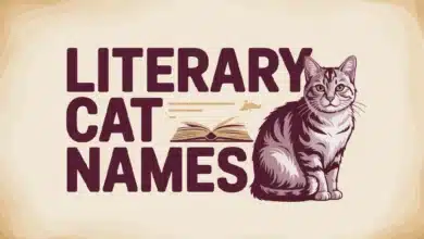 Literary Cat Names With Meanings