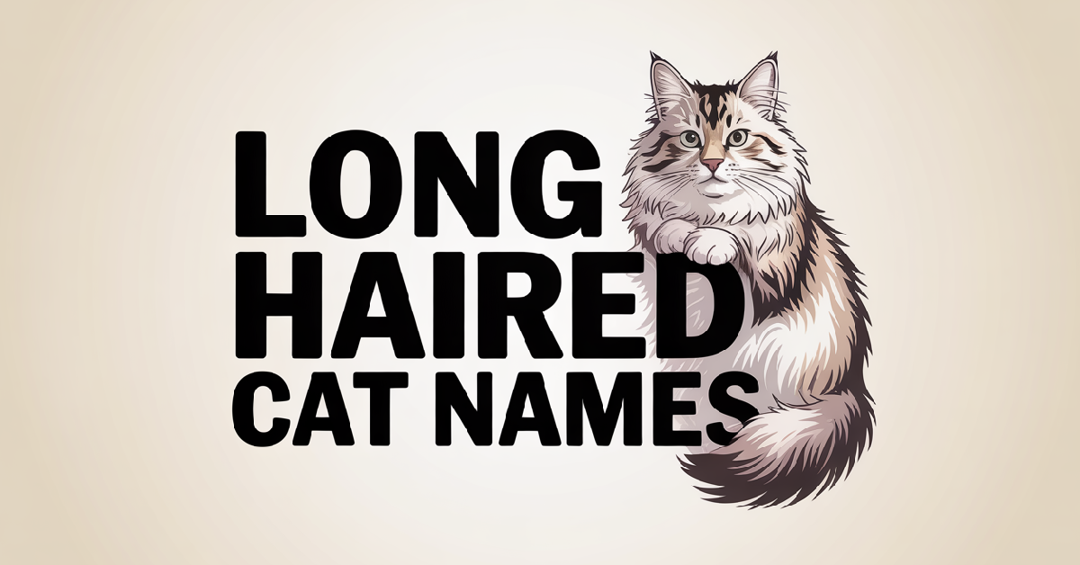Long Haired Cat Names With Meanings