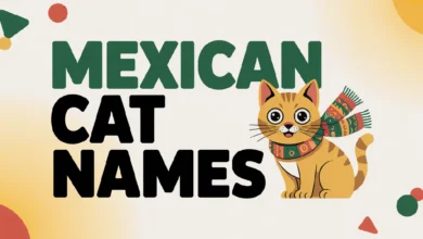 Mexican Cat Names With Meanings