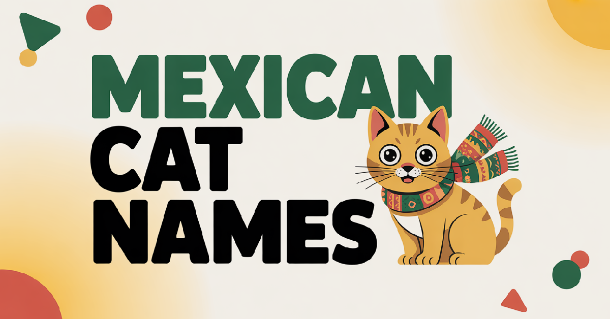 Mexican Cat Names With Meanings