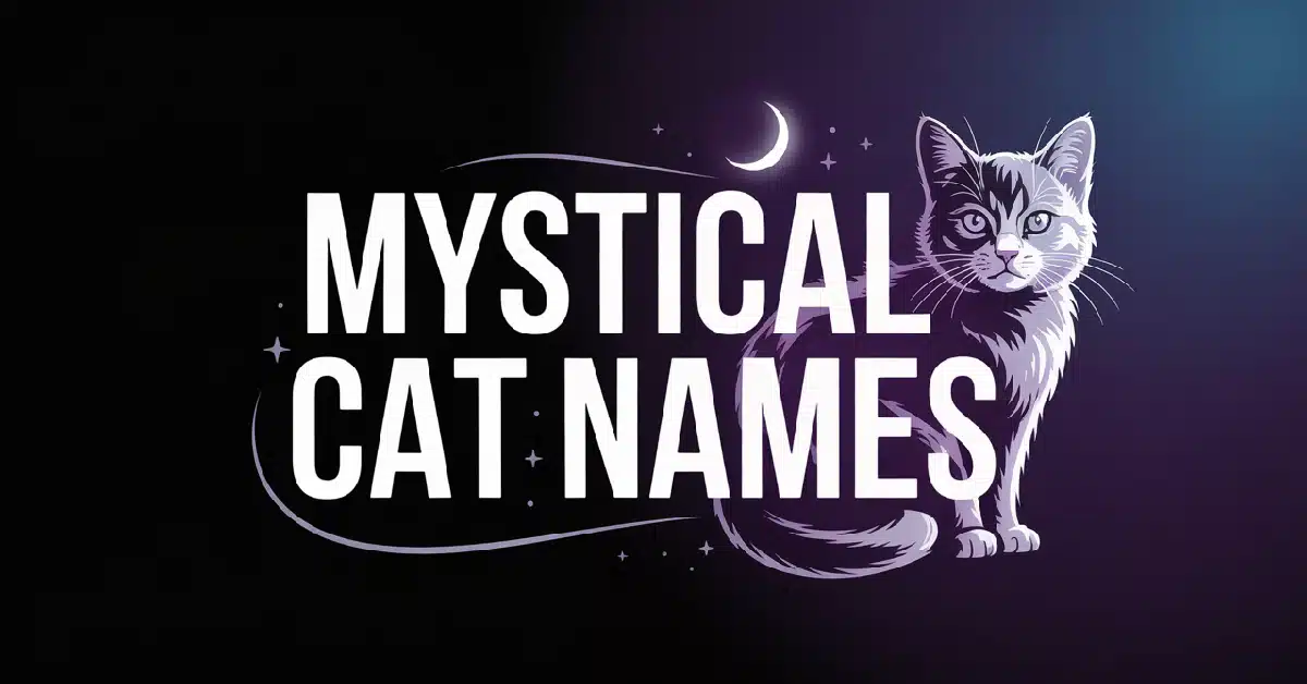 Mystical Cat Names With Meanings