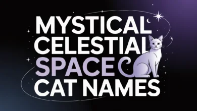 Mystical Celestial Space Cat Names With Meanings
