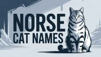 Norse Cat Names With Meanings