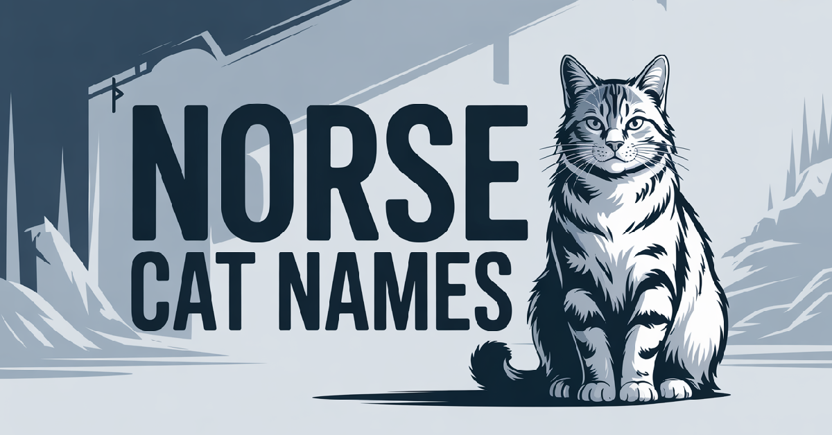 Norse Cat Names With Meanings