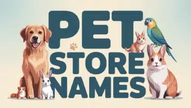 PET Store Names With Meanings