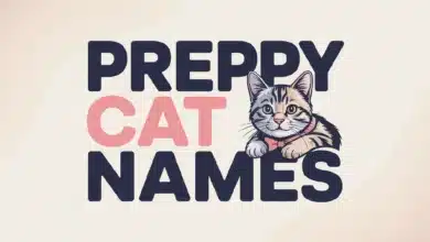 Preppy Cat Names With Meanings