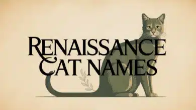 Renaissance Cat Names With Meanings
