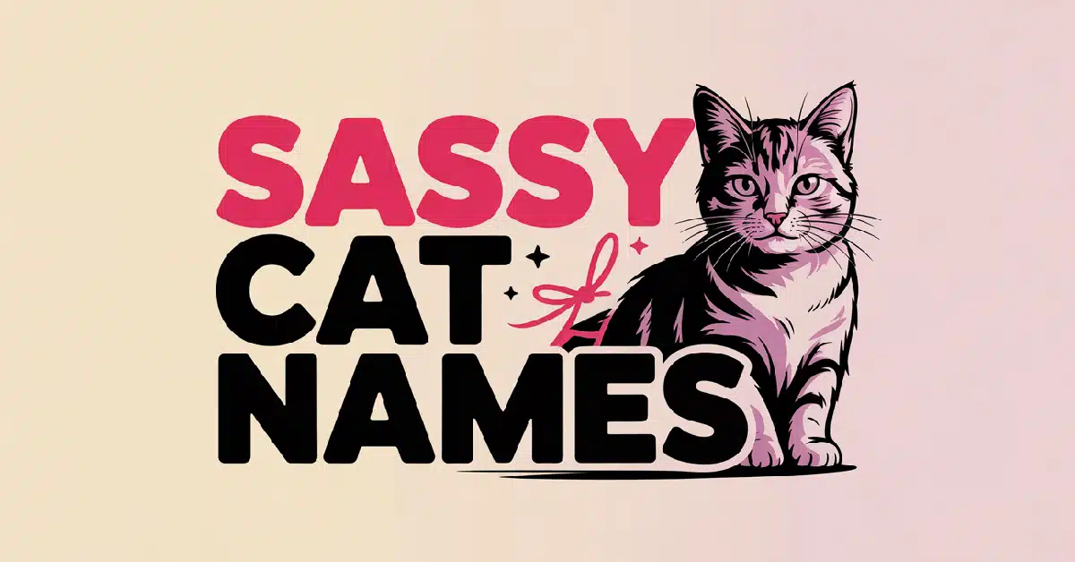 Sassy Cat Names With Meanings