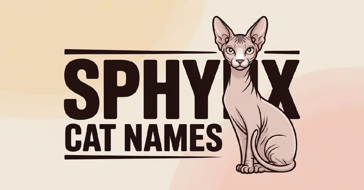 Sphynx Cat Names With Meanings