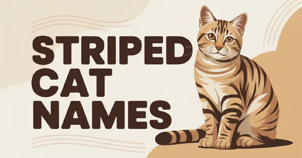 Striped Cat Names With Meanings