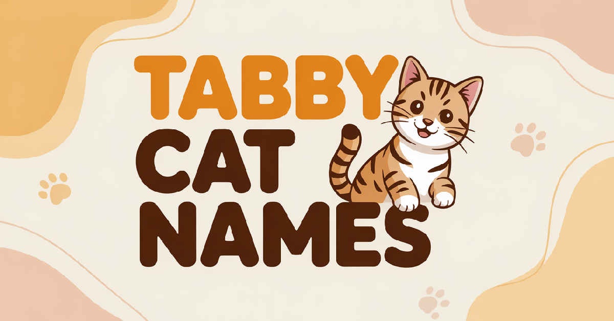 Tabby Cat Names With Meanings