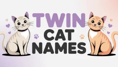 Twin Cat Names With Meanings