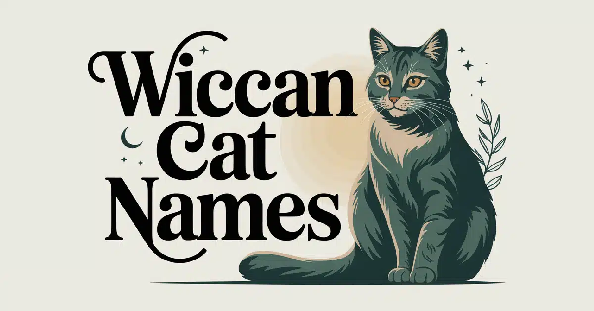 Wiccan Cat Names With Meanings