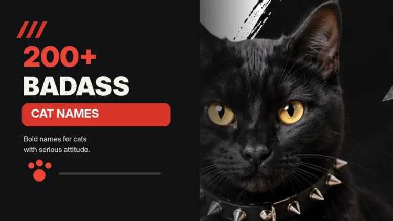 200+ Badass Cat Names for Bold, Tough and Fearless Cats
